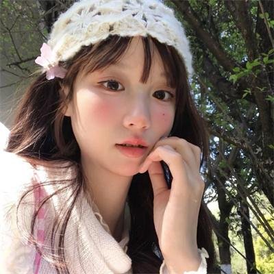 小鸟之翼第二季
